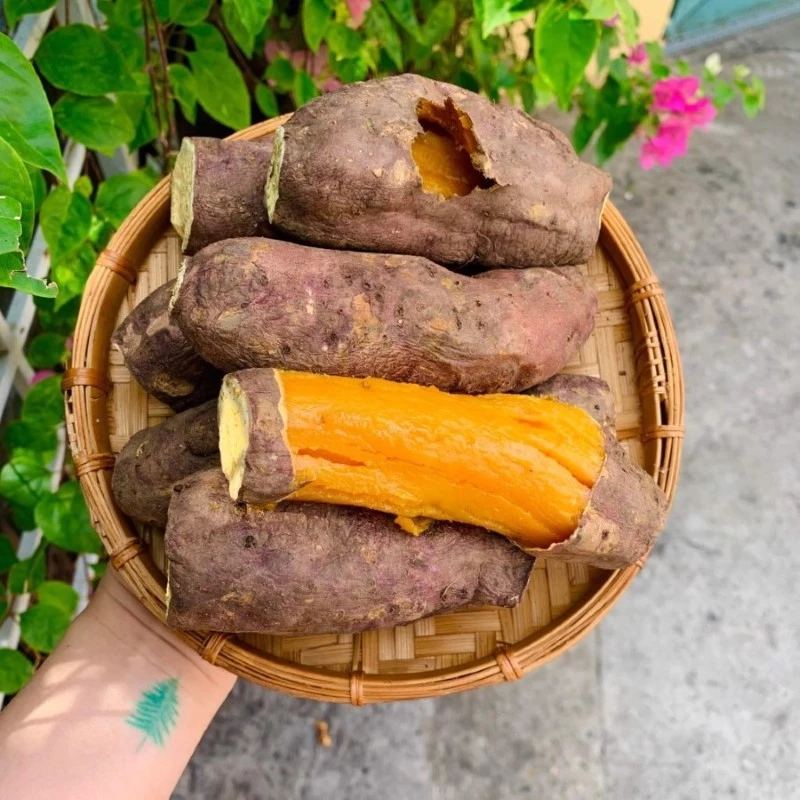 Khoai lang mật